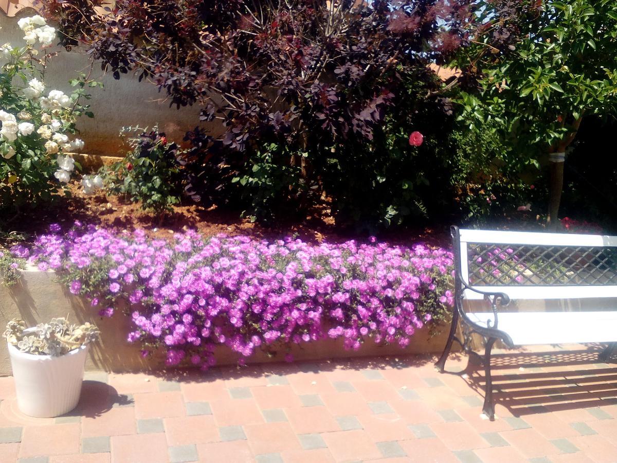 Marsa Apartment Medulin